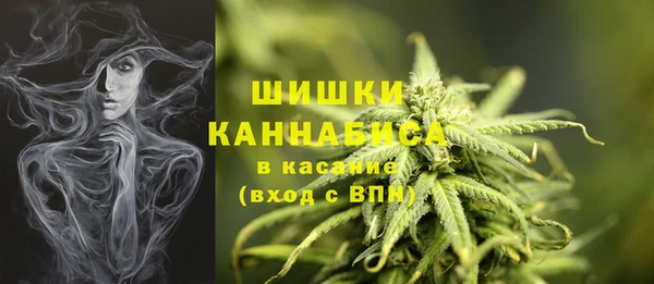 спиды Майский
