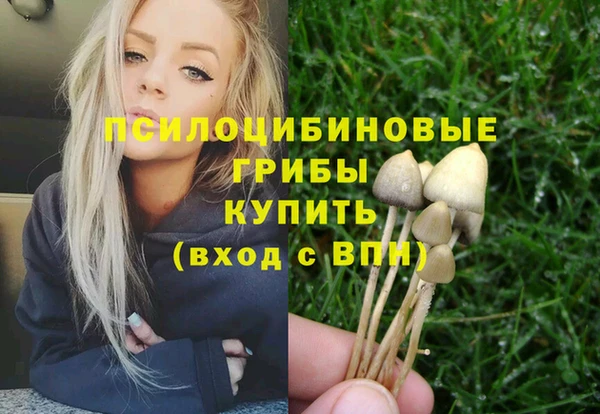 гидра Покачи