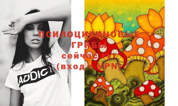 бошки Ачинск