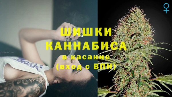 спиды Майский