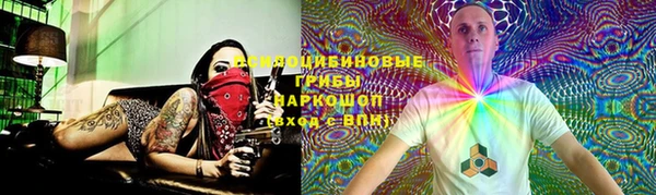 не бодяженный Магадан