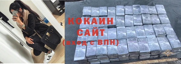 спиды Майский